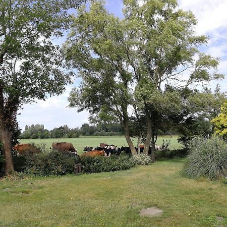 Vinkelaar 11 Villa Terschuur Exteriör bild