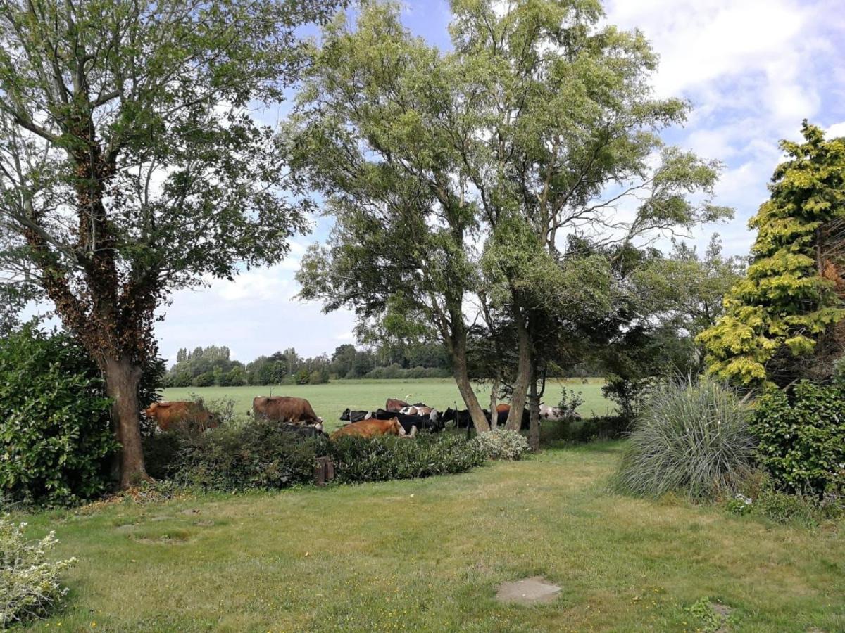 Vinkelaar 11 Villa Terschuur Exteriör bild